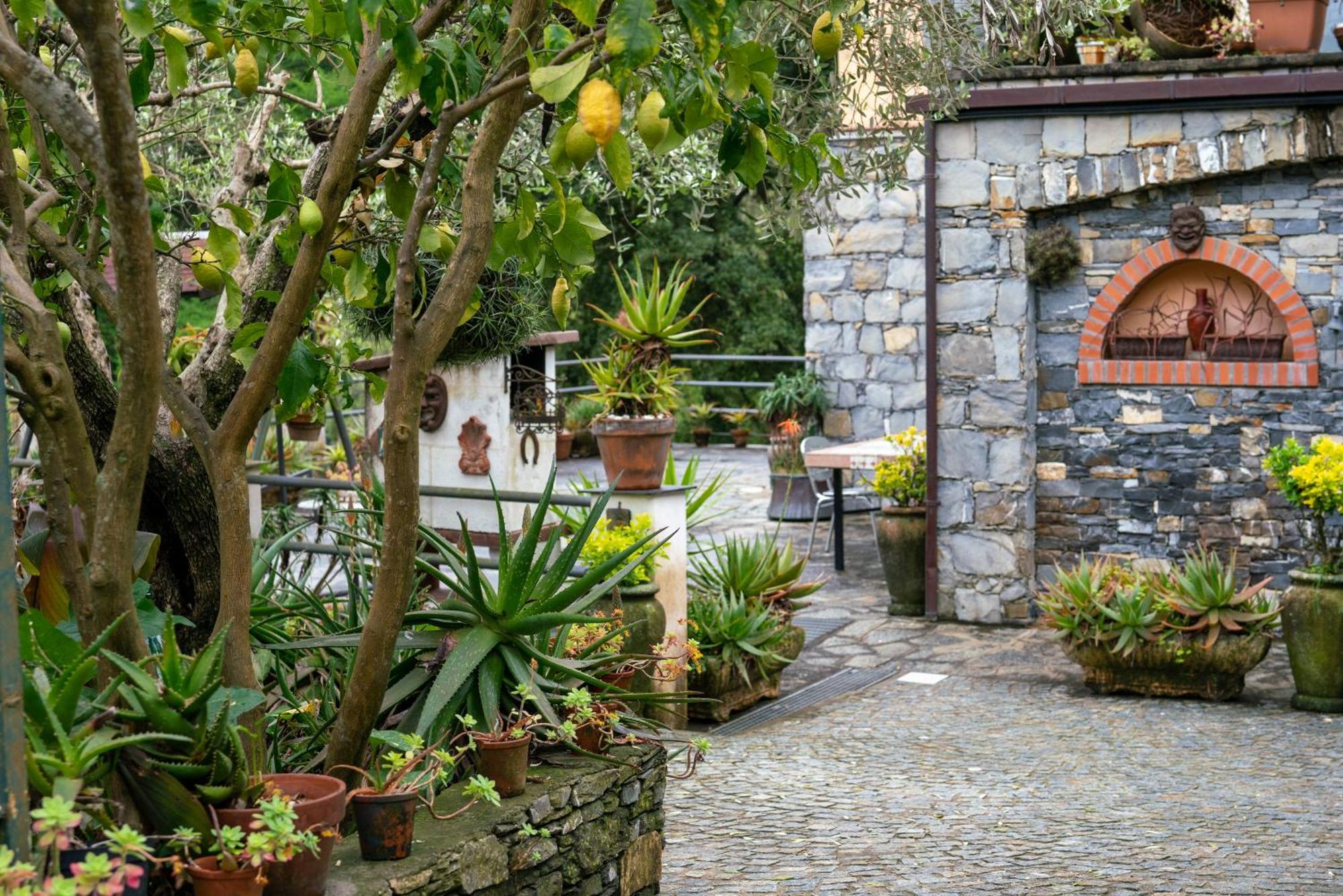 B&B Collina E Mare Camogli Ngoại thất bức ảnh